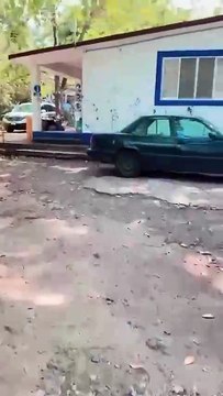 El Festival de las aves playeras en Veracruz un evento imperdible (1)