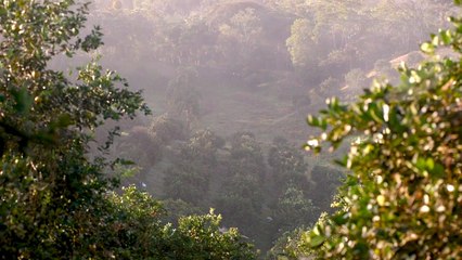 Grupo Arce es #OrgullosamentePanameño