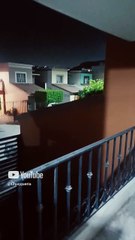 el gato panaca en el balcón disfrutando del frío en la noche aquí en Tijuana