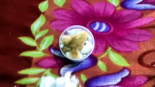 Amazing Eggs Hatching Naturally Without an Incubator