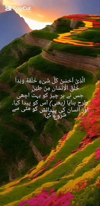 VID_20250410_033824_240