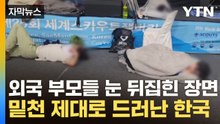 [자막뉴스] 세계인 원성 쏟아진 '나라 망신'...드러난 총체적 난국 / YTN