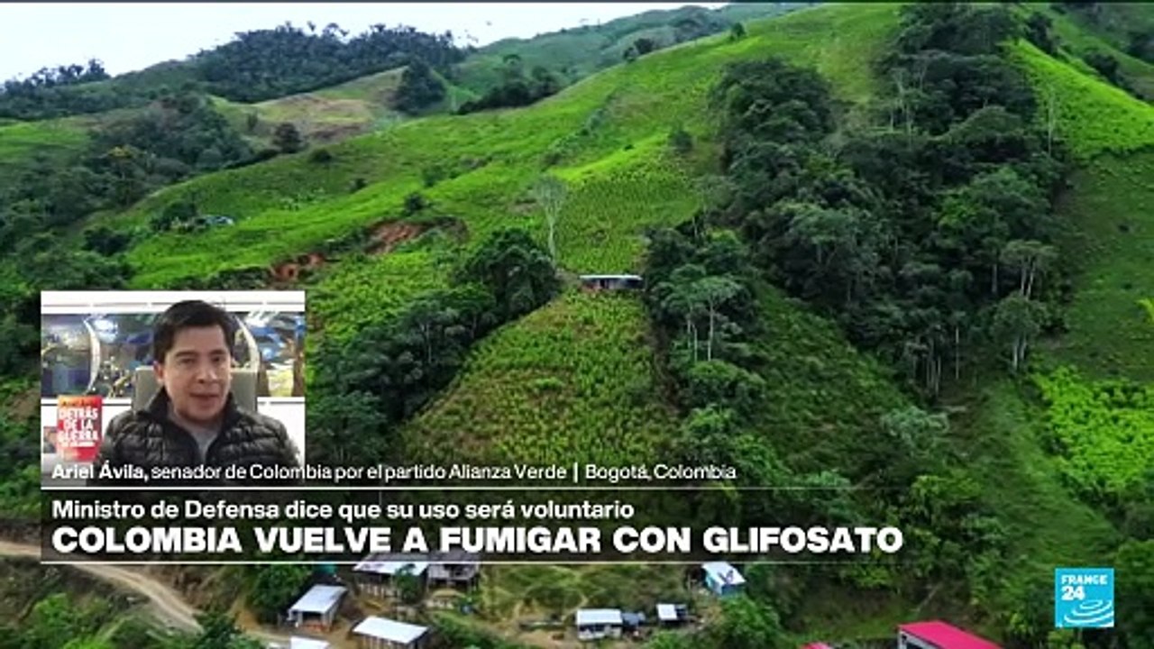 Ariel Ávila: "El Gobierno de Colombia tiene que esforzarse para una erradicación manual de la coca"