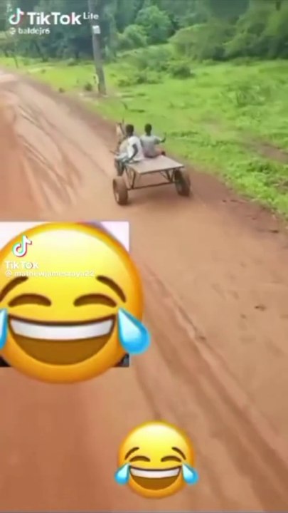 funny video/just comedy