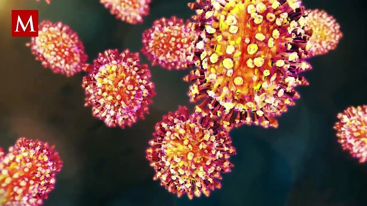 ¿Cuáles son los síntomas de la influenza aviar? Te contamos más sobre el virus