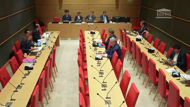 Freins à la réindustrialisation de la France : M. Sébastien Martin, président de la communauté d’agglomération du Grand Chalon ; M. Geoffroy Roux de Bézieux, président d’honneur du Medef - Jeudi 10 avril 2025