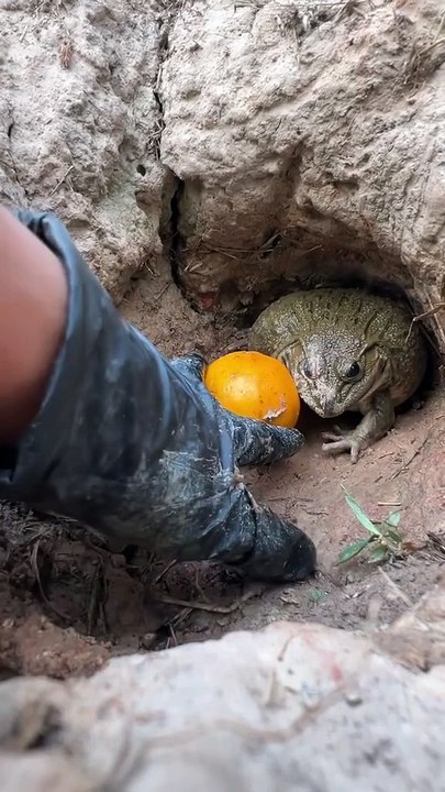 😈 jump 🤣🤣😂