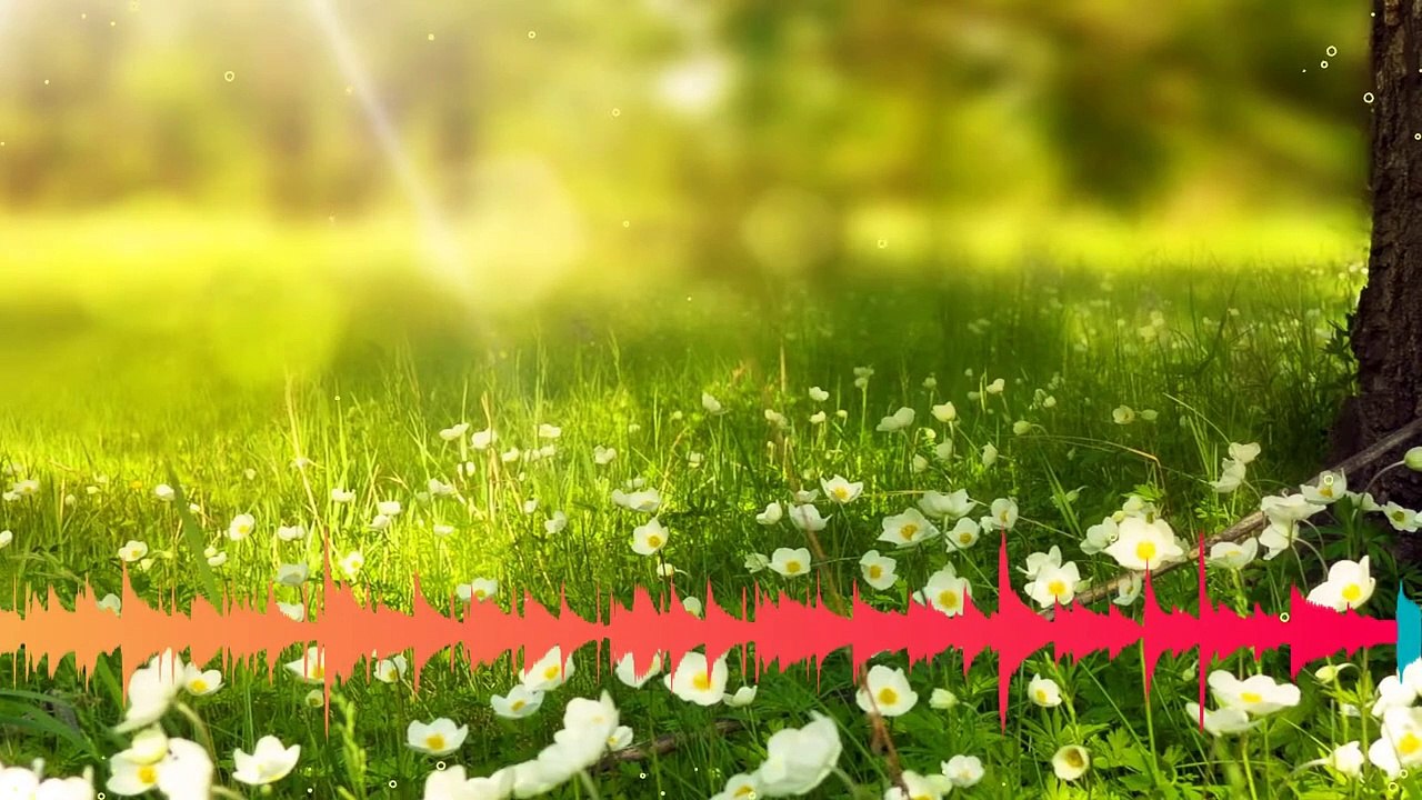 2019 - Dreams of Summer by Hardcore Scm - Chill