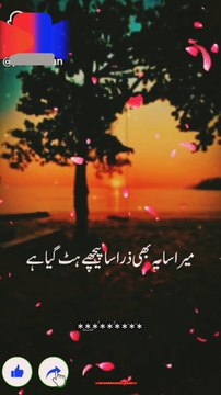 عاجزی اختیار کریں اور غرور کبھی بھی مت کریں آپ ہمیشہ تروتازہ اور جوان نہیں رہیں گے وقت بہت تیزی سے گزر رہا ہے وقت کی قدر کیجئیے. ❣️❣️❣️❣️❣️❣️❣️❣️❣️❣️❣️❣️