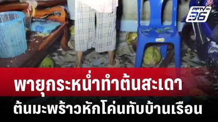 พายุกระหน่ำทำต้นสะเดา ต้นมะพร้าวหักโค่นทับบ้านเรือน | เที่ยงทันข่าว | 11 เม.ย. 68