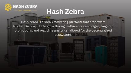 Hash Zebra: Boost Your Crypto Mining Marketing 🚀