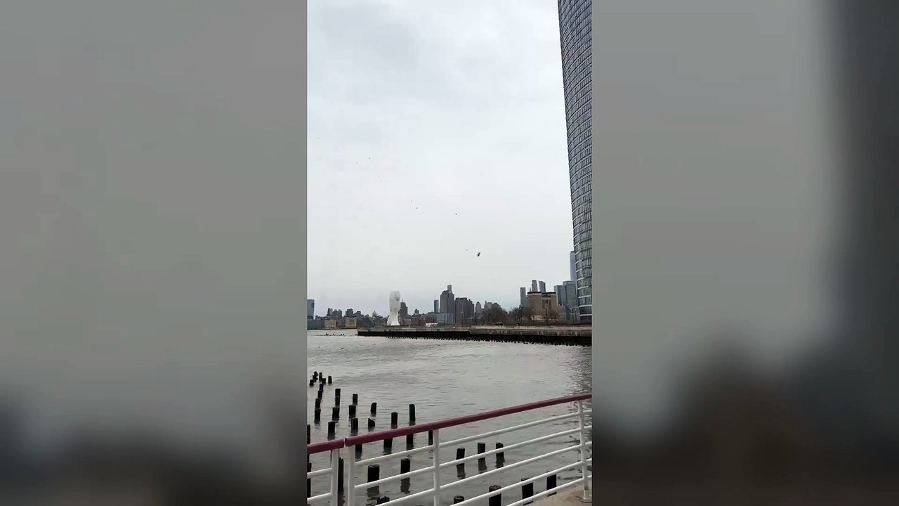 Fallece una familia española en un accidente de helicóptero sobre el Hudson en Nueva York