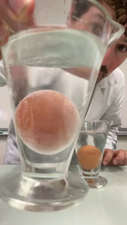 Comme ça vous savez tout sur ces œufs 🥚