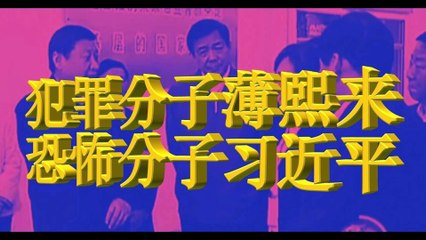 犯罪分子薄熙来 恐怖分子习近平 Criminal Bo Xilai, Terrorist Xi Jinping