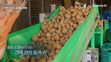 경제적 이익 뿐 아니라, 국가 발전에 도움을 주는 협동조합?