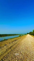 Village Evening Magic  - Peaceful Moments max records   #maxrecords #larkana #sindh #Pakistan
