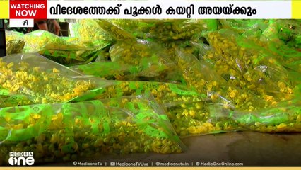വിഷുകാലങ്ങളിൽ എയർപോർട്ടുകളിൽ ഭരിക്കുന്നത് കണിക്കൊന്നകൾ