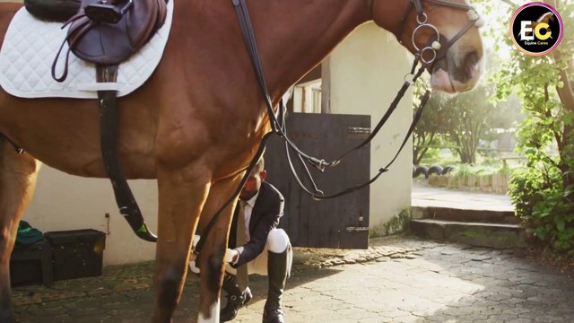 How to Treat Laminitis in Horses FAST 🐎 | Vet-Approved Guide to Save Your Horse’s Hooves!,