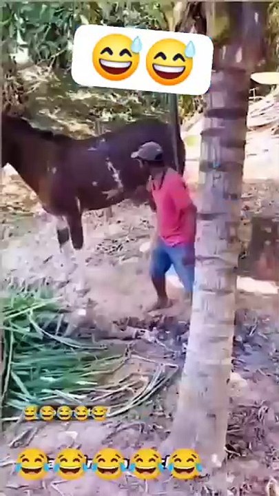 🤣🤣😂 wocth vedos  very funny 😁