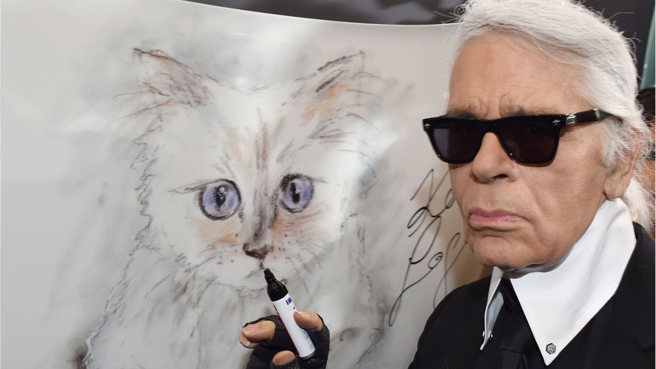 GALA VIDÉO - Karl Lagerfeld : régime spécial et sac Vuitton, sa chatte Choupette mène la grande vie !