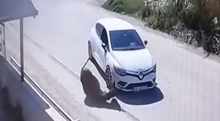 Otomobiliyle eşeğe kasıtlı olarak çarpan sürücünün ehliyetine el konuldu