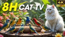 Relaxing Video For Cats To Watch Bird Fly in Peaceful Forest - Bird For Cats To Watch