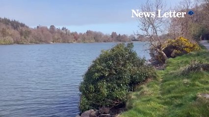 Castlewellan Forest Park - Belfast News Letter