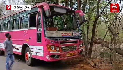 കരിമ്പുഴയിൽ ബസും ബൈക്കും കൂട്ടിയിടിച്ചു; യുവാവിനും യുവതിയ്‌ക്കും ദാരുണാന്ത്യം