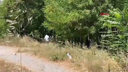 İstanbul'da gencecik bir kadın tecavüz edildikten sonra öldürülerek yol kenarına atıldı!