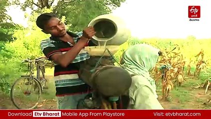 ప్రకృతి వ్యవసాయం చేసి రూ.50 వేలు పొందండి! - అది ఎల