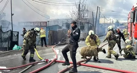 Başakşehir’de kimya deposunda korkutan yangın! Araçlar yandı, hayvanlar böyle kurtarıldı