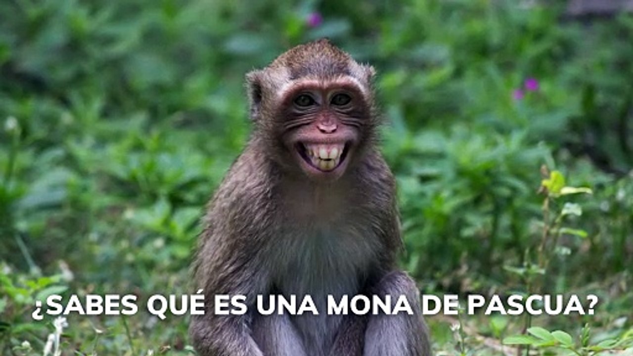 ¿Sabes qué es una 'Mona de Pascua'?