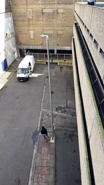 Parkour parkour   #parkour #shorts#daillymotionshorts#paperpulse