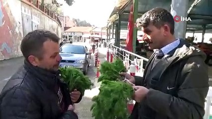 Kendiliğinden yetişen çaşır otu yok satıyor