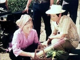 Biệt Động Sài Gòn (Saigon Rangers) Phần 2