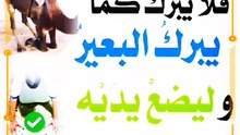 كيف كان يسجد رسول الله صلي الله عليه وسلم غالبا؟