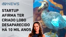 Animais extintos renascem em laboratórios; Patricia Costa comenta