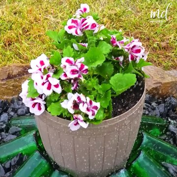 Elevate your outdoor space with these enchanting summer orchard garden ideas