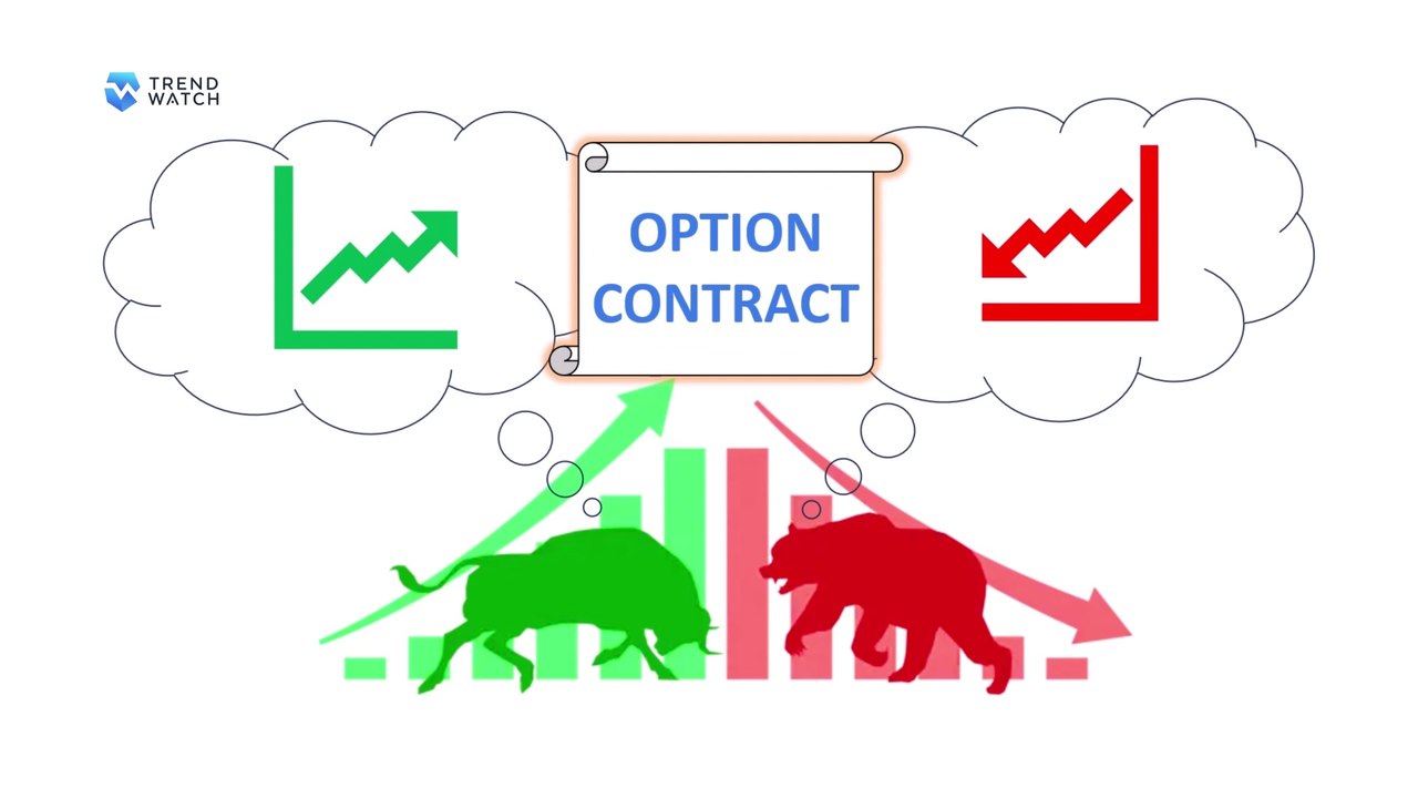 Options Tutorial 106 - Understanding Options Buyers and Sellers (Part 1)