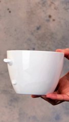 Gardening on a Budget- Tips & Tricks for Beginners