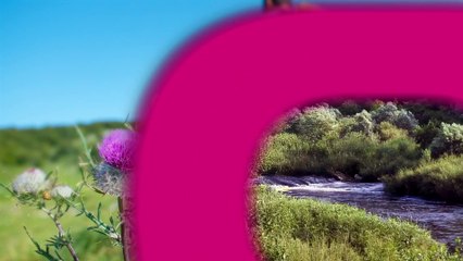 Agenda des Sorties du 14 au 16 avril 2025