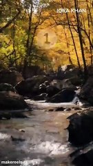 The Incredible Journey of a Baby Elephant in the Wild