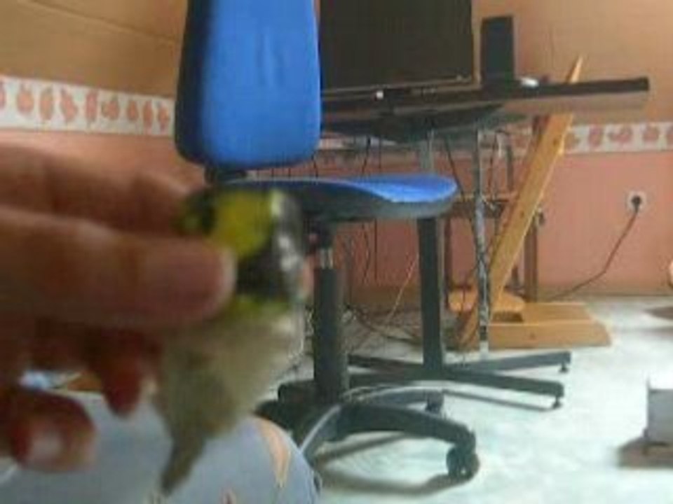petite arme ^^