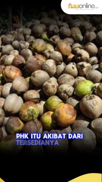 Riau Provinsi Ke-2 Terbanyak PHK di Indonesia, Gubernur Ungkap Penyebabnya