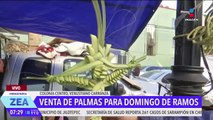 Arranca la venta de palmas en la CDMX para el Domingo de Ramos