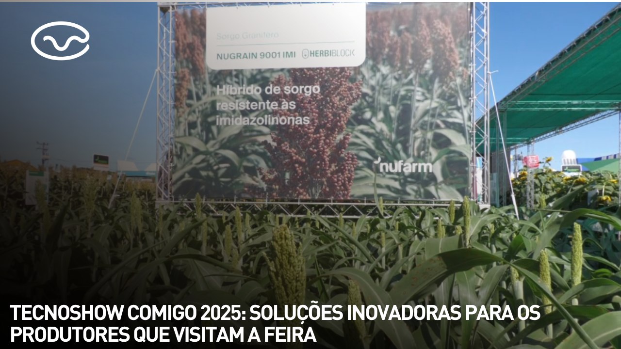 Tecnoshow Comigo 2025: soluções inovadoras para os produtos que visitam a feira