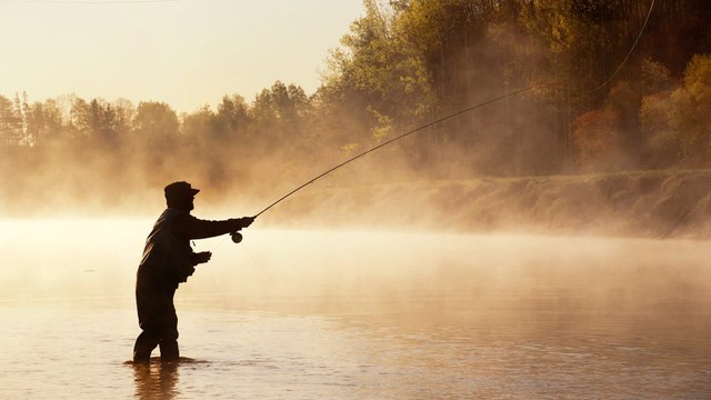 Pêche dans le delta du Dniepr en Ukraine