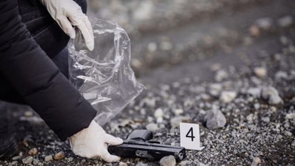 Les enquêtes de l'inspecteur Wallander