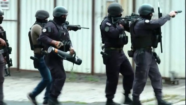 tn7-oij-realiza-allanamientos-y-decomisos-110425