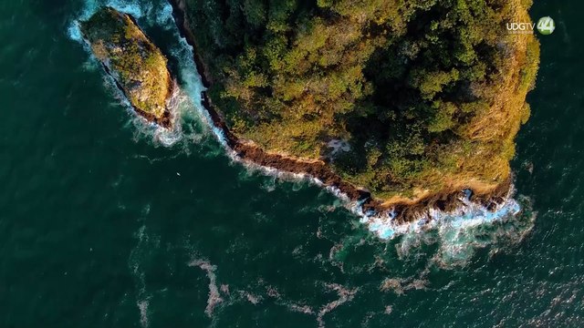Puerto Vallarta va por la certificación Blue Flag en sus playas